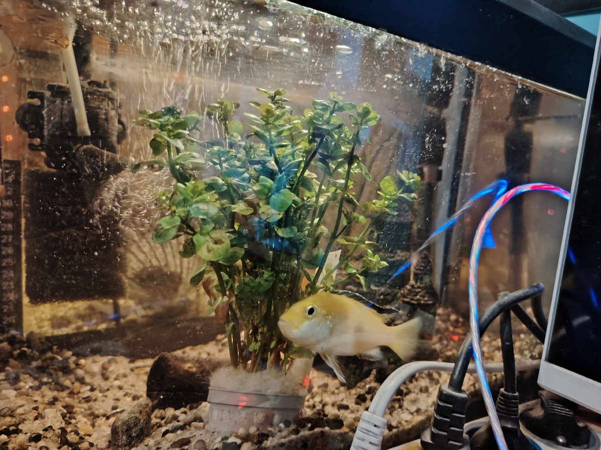 24e876ef-5605-45cc-9db8-ed2563e5aa45