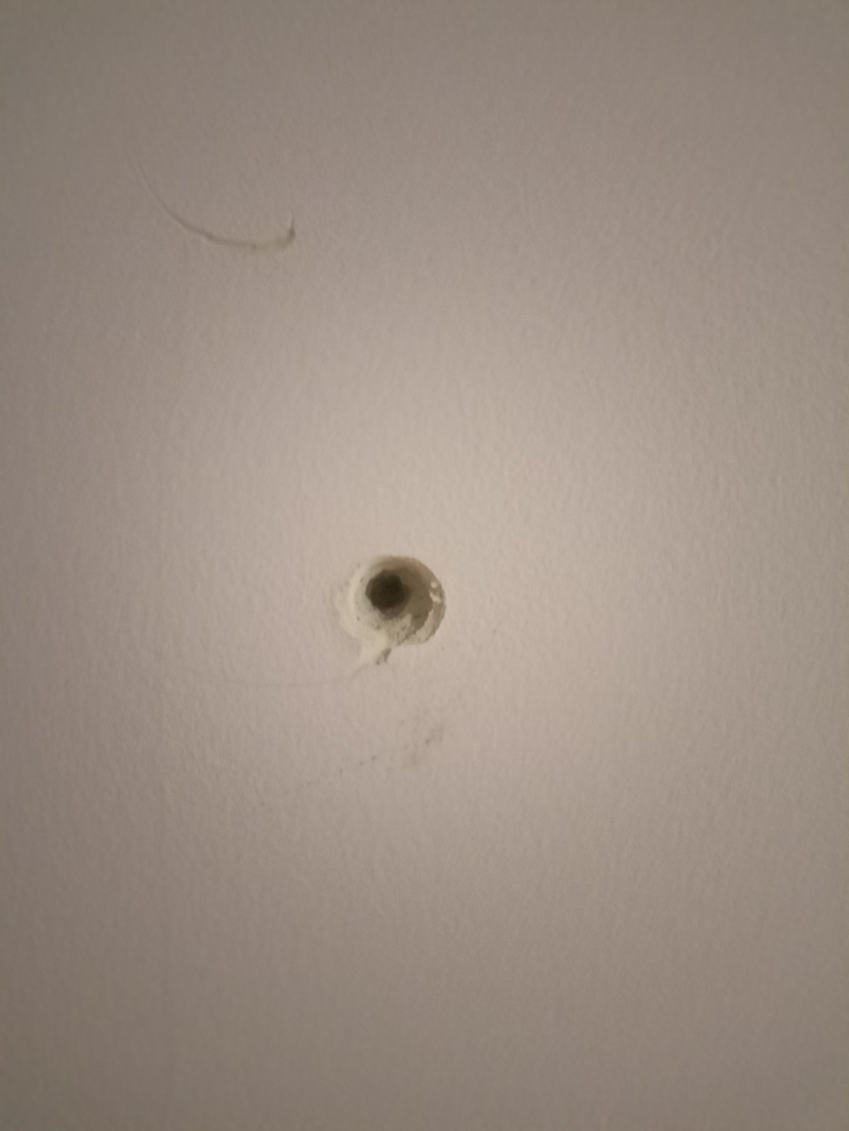 ffe2cfc4-71ec-4eff-b82f-aa37821a3064