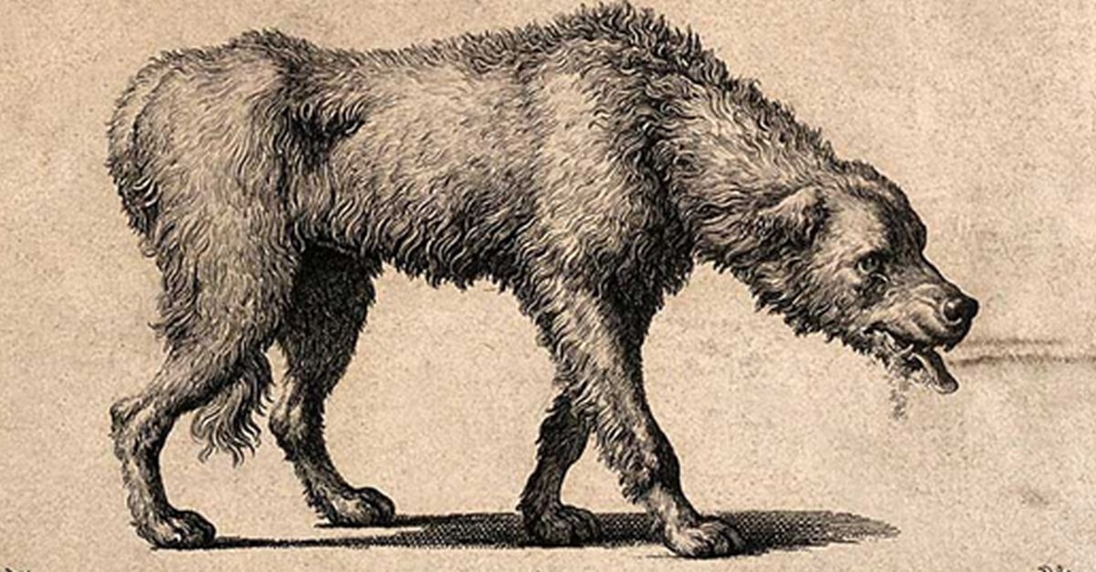 cefffe70-0535-4323-a27b-5f895ccc621c