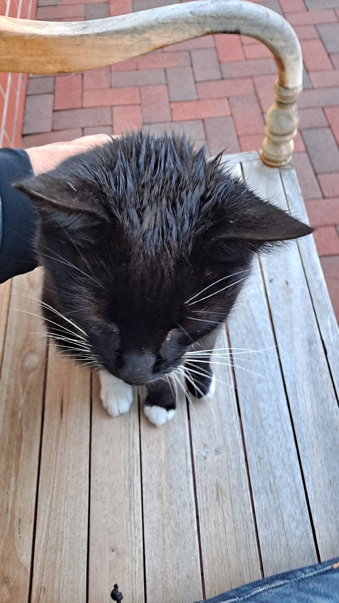 30c964b9-ed88-481a-8207-3f0993dce952