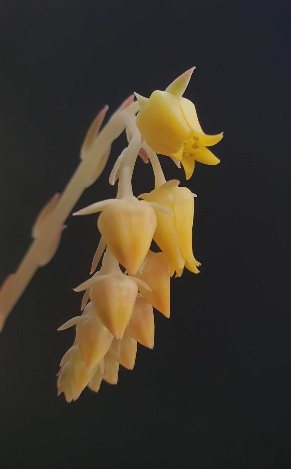 e22ff477-6a28-4f8f-ac84-c72d3a351b30