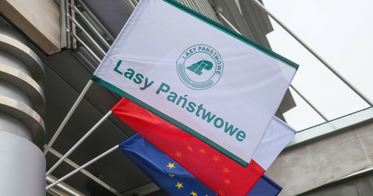 Połowa drogi z Ziemi na Księżyc. Tyle przejechał "ziobrysta z Tolkmicka"