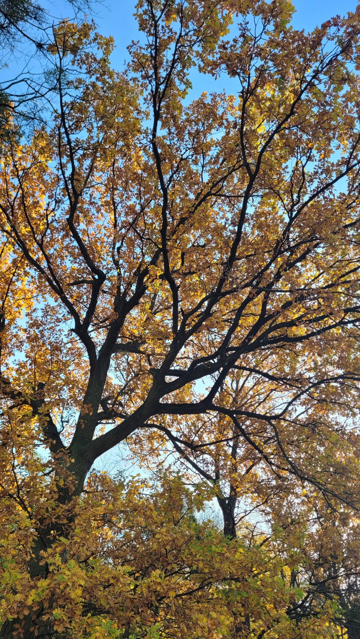 bee1a6c9-811e-4d51-a3c4-1fc3c858c801