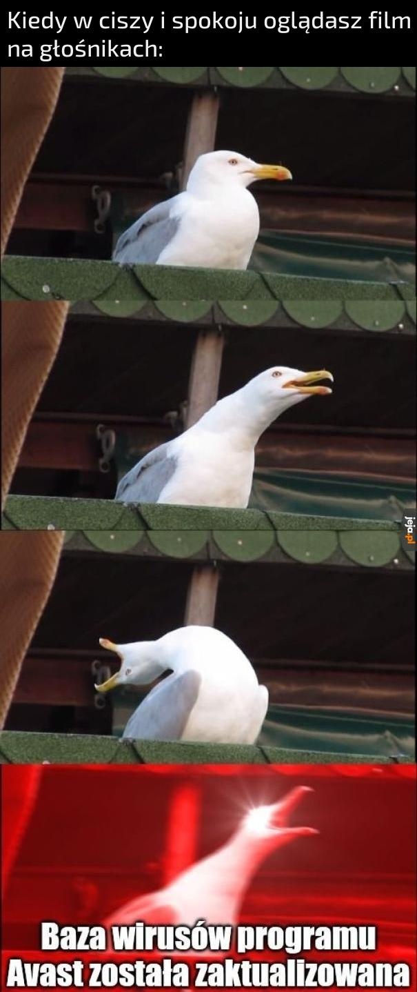 f24298ad-07d7-4404-9c05-9c8289a02446