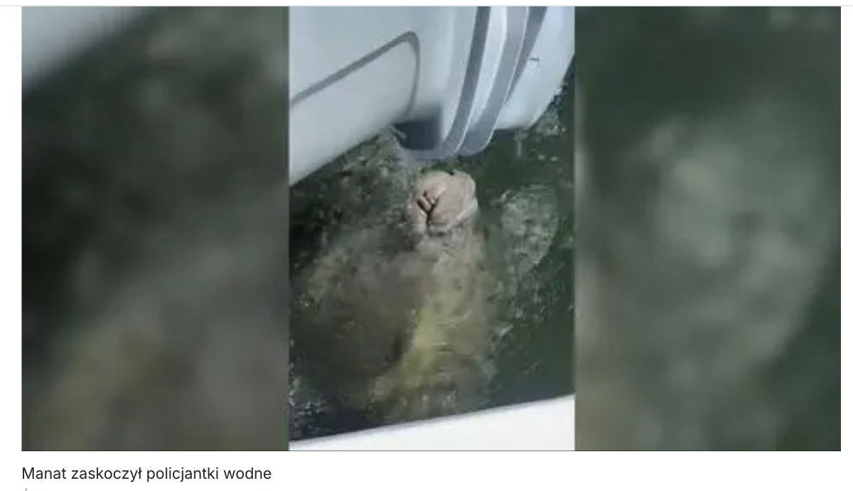 b6440040-fd5d-459b-ae94-d738dca78105