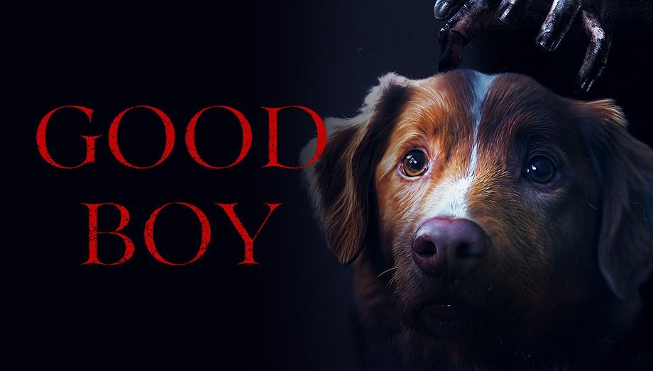 d113168a-5fa5-4b80-a7fb-73d319e7771f