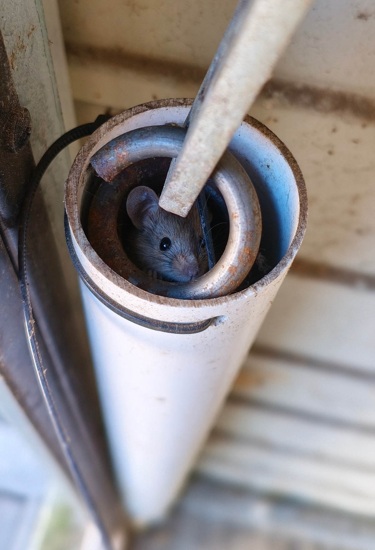 01bb1644-80ec-4e7b-8d64-ee1e669d6e3a