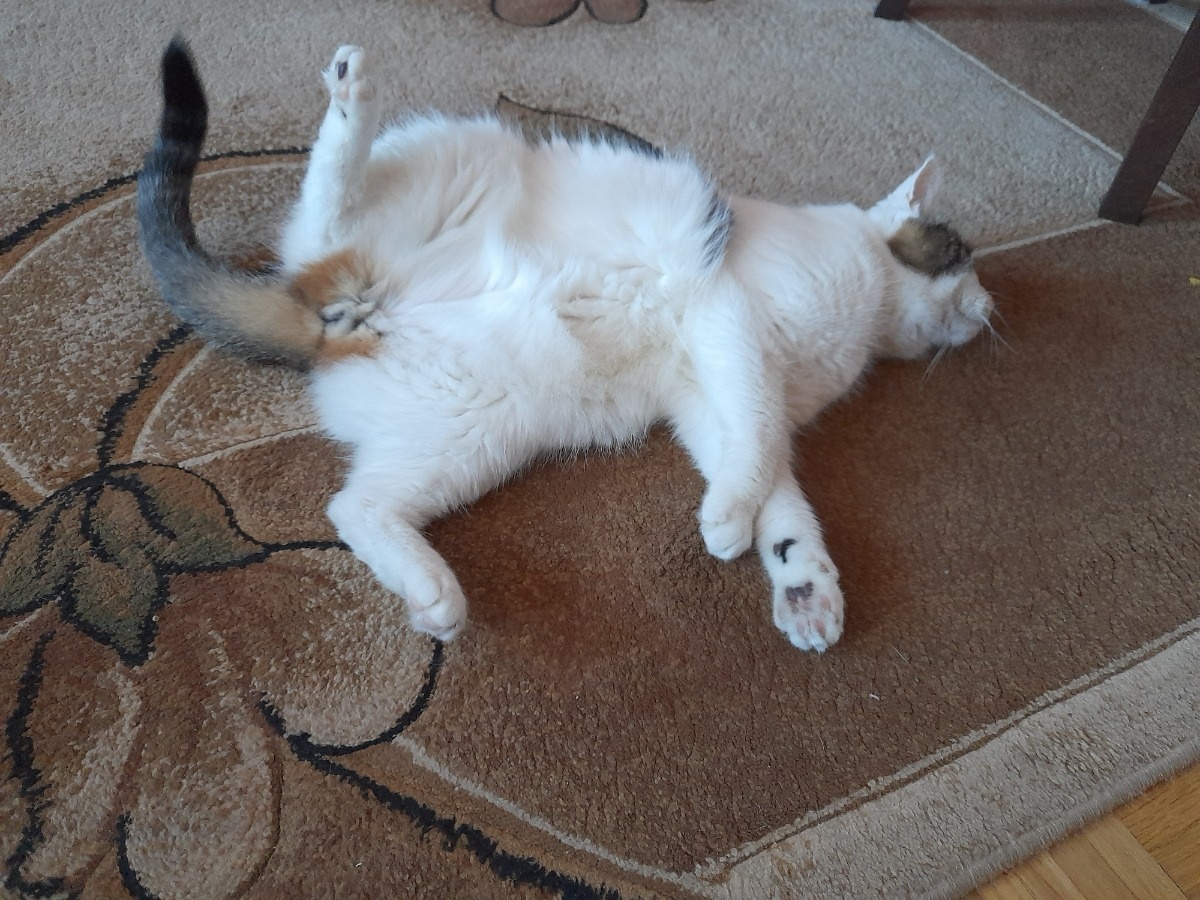 84f9661e-e543-4f5e-a85d-f43fb83d4446