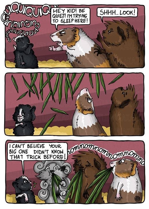 e5eb40d5-ea8e-4841-86fe-c375bb523573