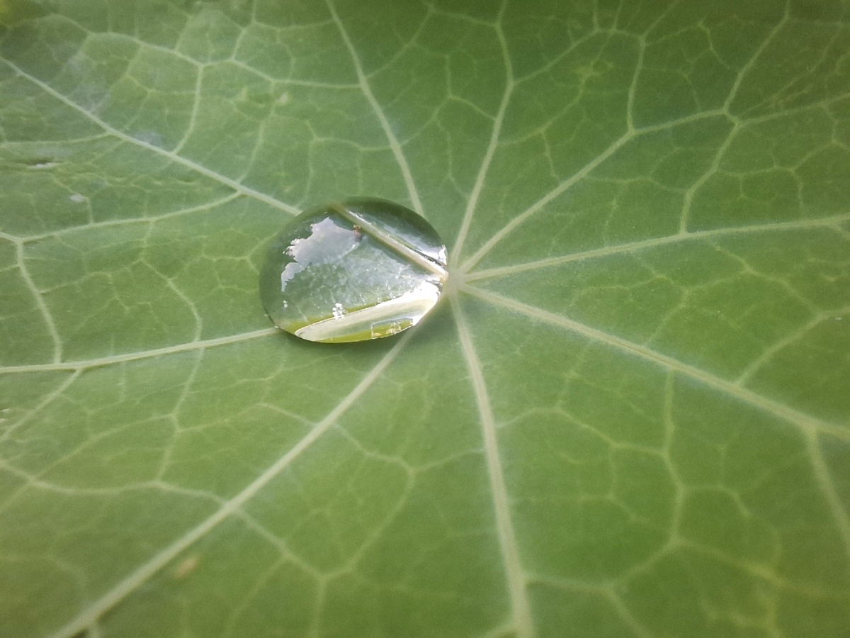 0867c007-c584-4446-bcce-72c74b8bcbf5