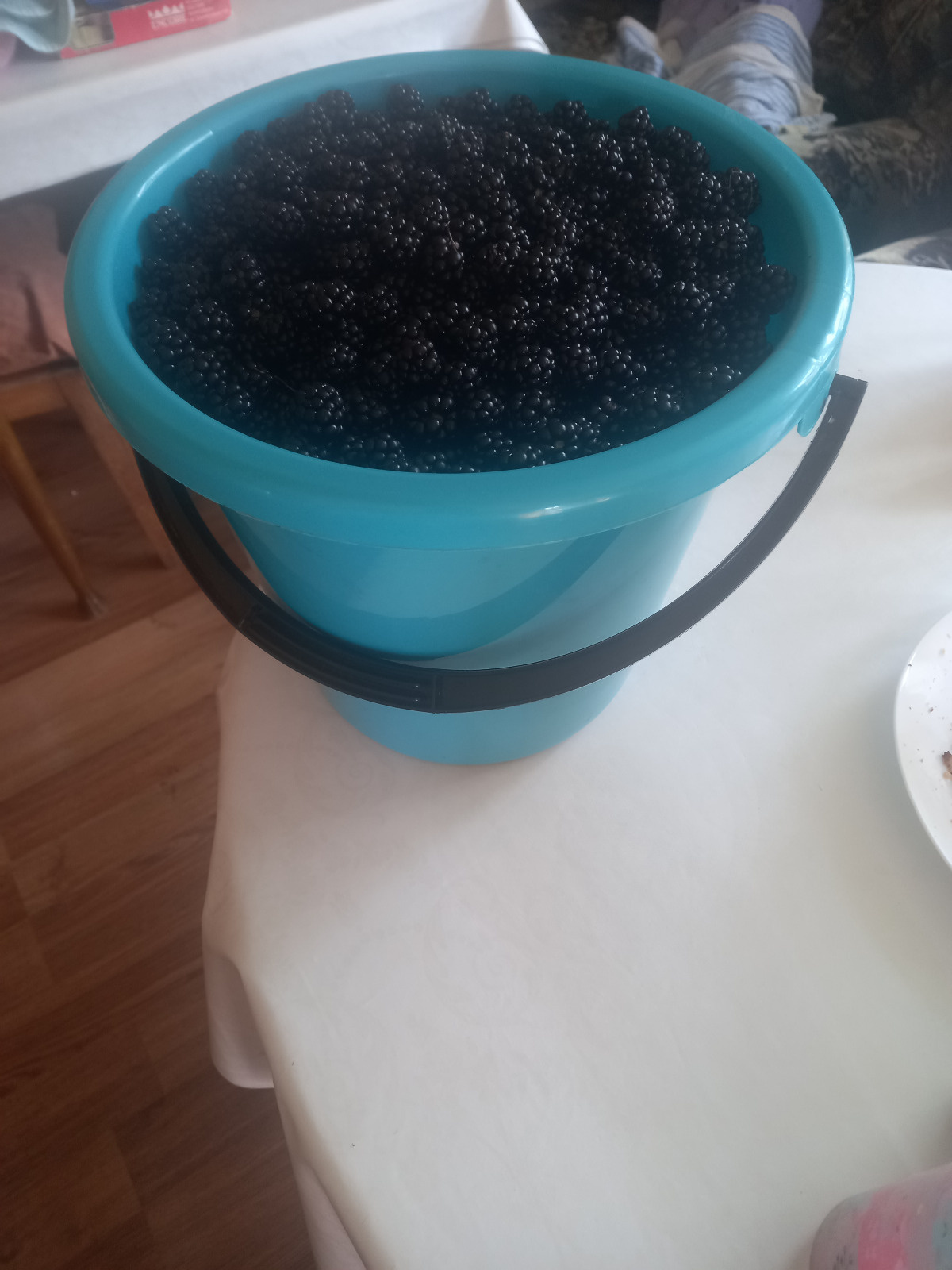 e0492532-faf8-42cc-b410-9cebcbd10a0c