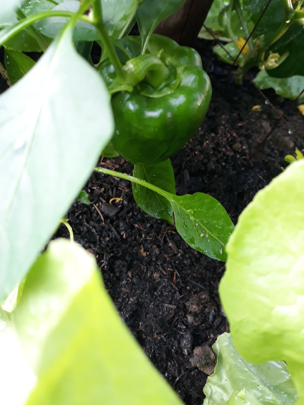 3b30b4d5-4bc2-4e9d-bdce-1f781f6009dd