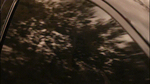 8fa95b60-c1d7-42ea-b817-b3bef8881d2d