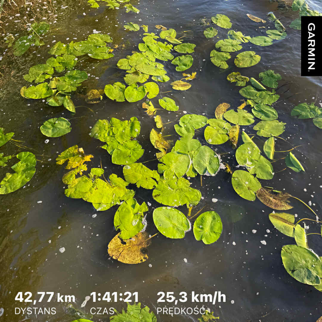 c49bf816-2cda-4540-ae7f-82f1720684a5