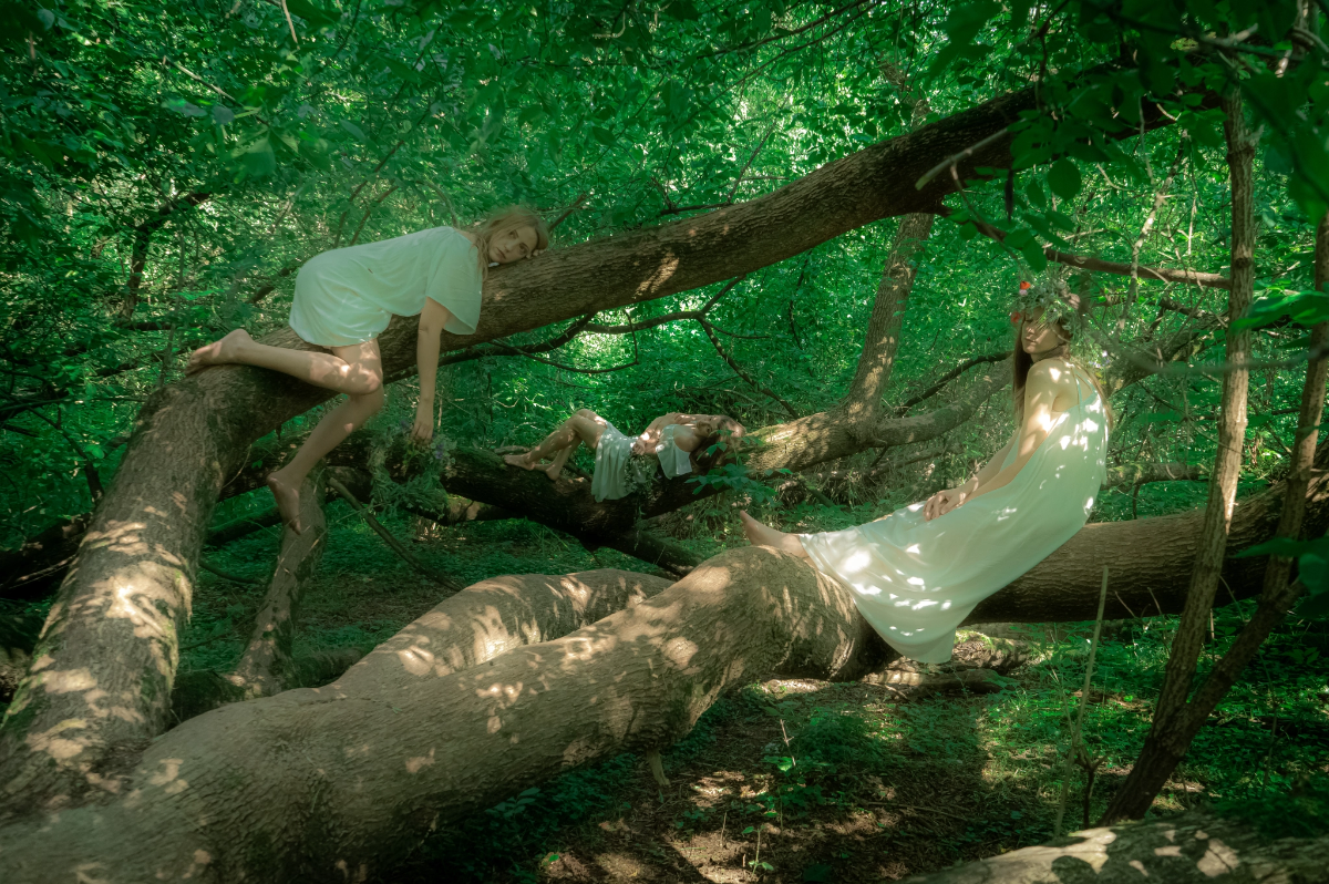 7ddcce26-b231-495e-a22b-41c96b2c1ba5