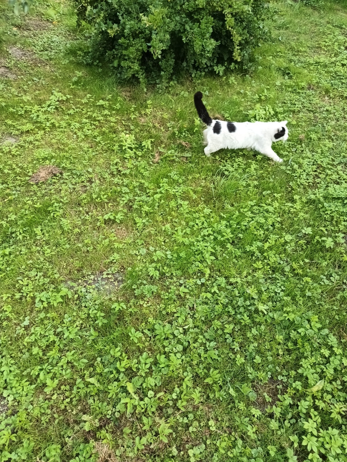 73dfe8cb-6a5d-412c-95b6-7447bc4a07eb