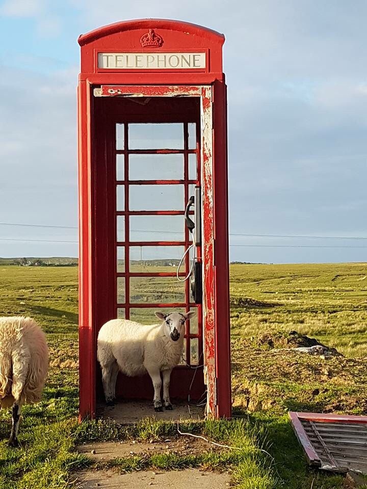 65d276d9-65ee-40fe-844b-c972571d2fbd