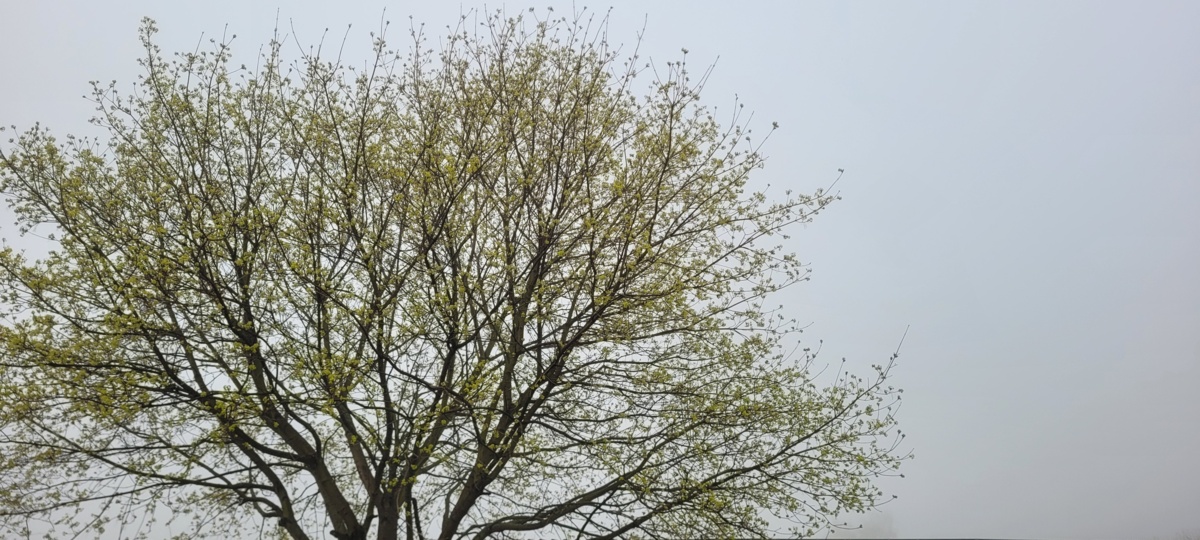 bb11e161-f9db-4d4e-9cfe-e997d2ef1dab