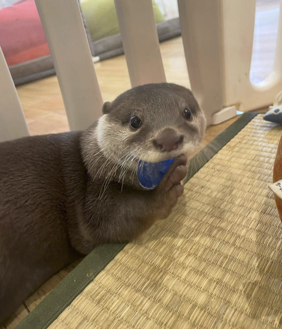 349e1e5c-36bb-4389-8a89-09f0ac04dcc9