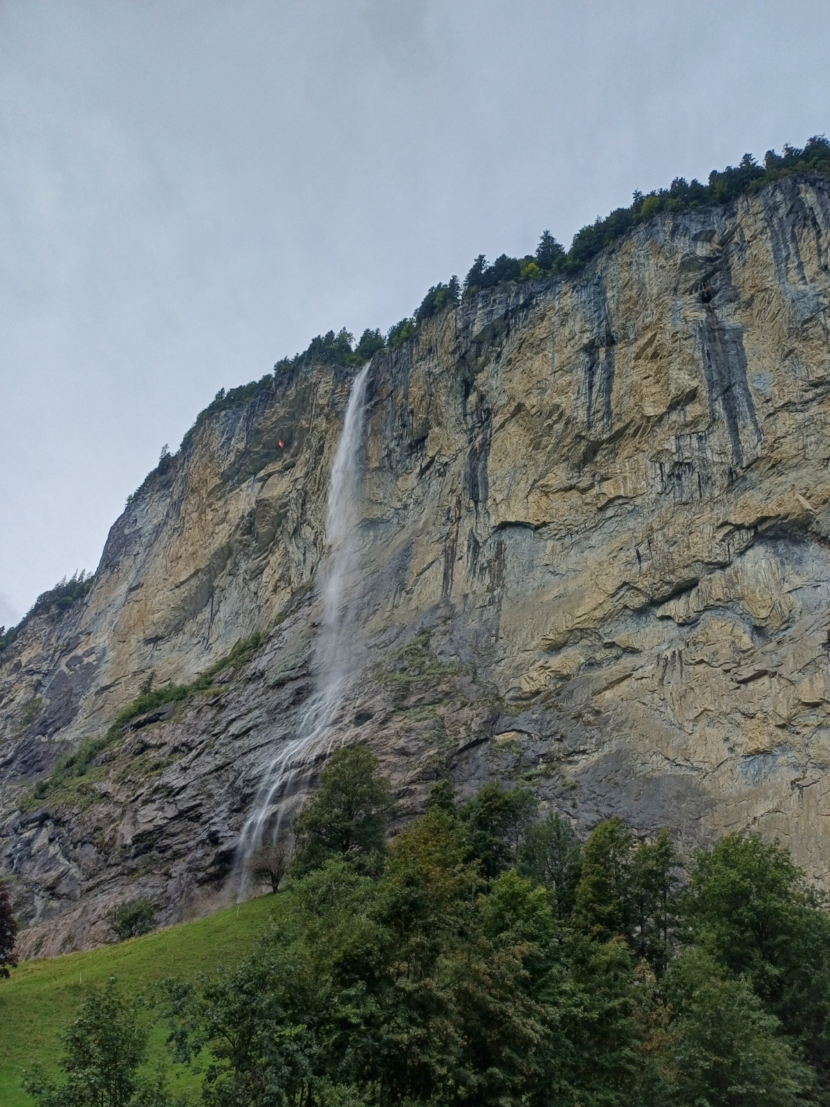 39e1f46c-9756-4616-b3f1-018030f3d207