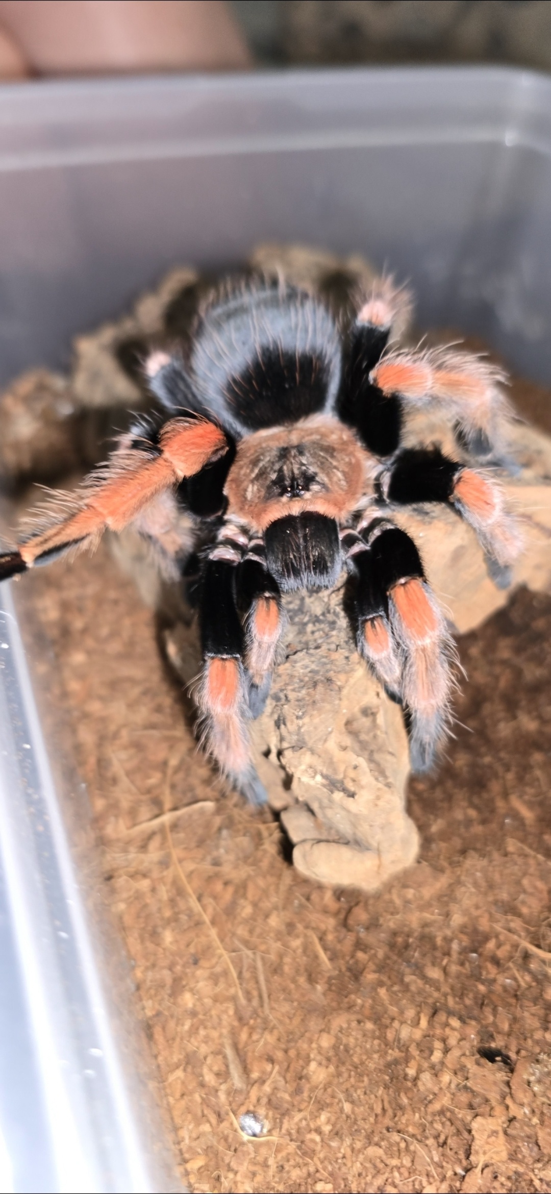 352bae88-2bff-473d-8bb4-6f875876d141