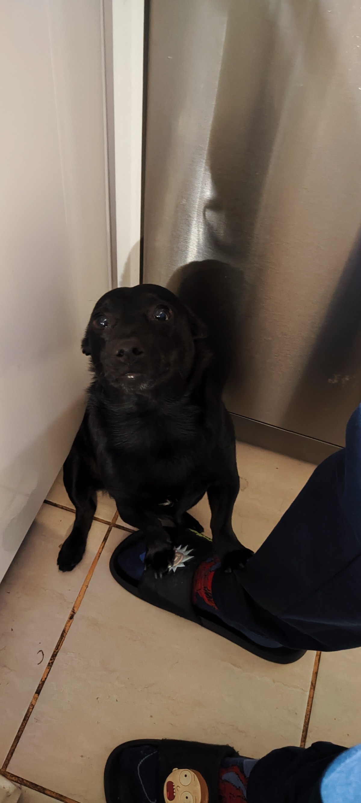 ff2cb24c-c3e9-4c6f-b78f-9c8d1dd0ee7a