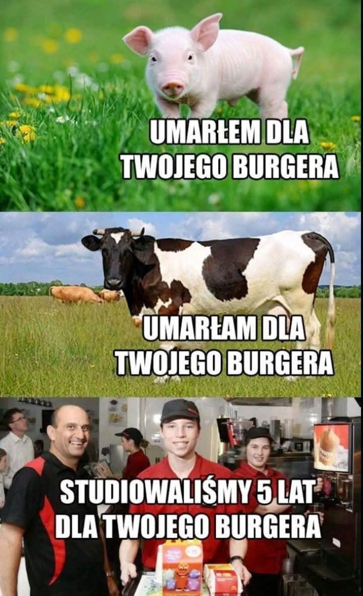 8dfa5b4b-b610-4435-bb5c-39a896392b1f