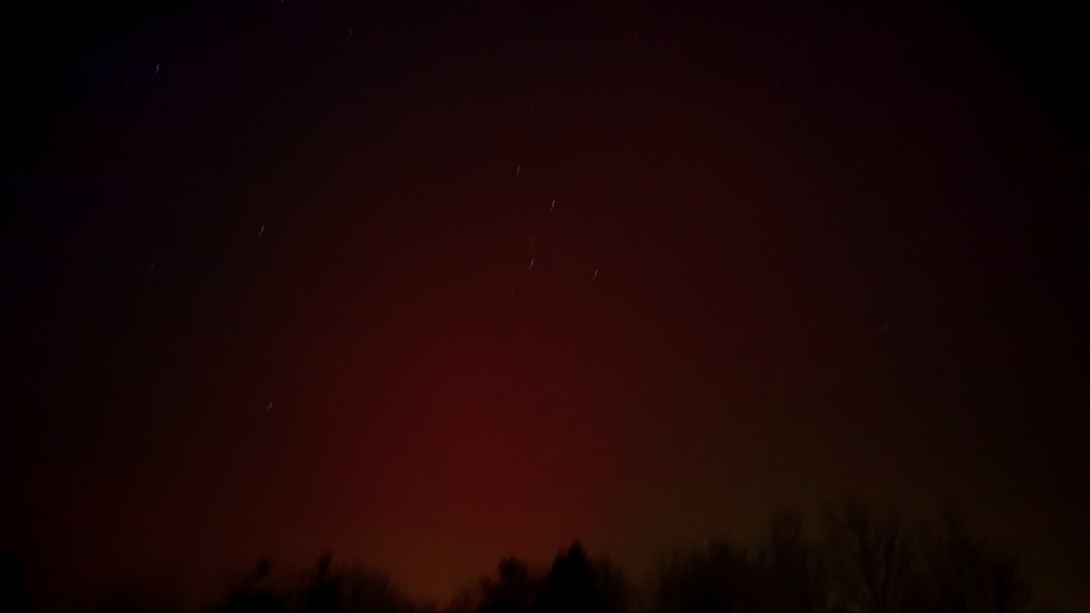 90fb5c57-b8a4-4cc7-8a87-c5b77f1b5727