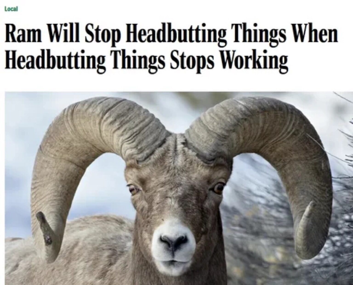 8cae831c-3798-4ee3-ab71-471126b4a2ab