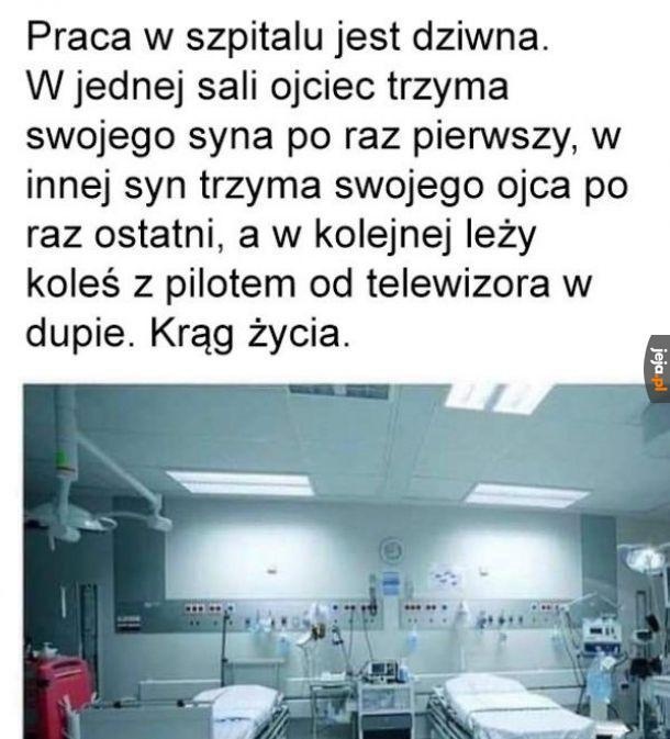 2c3da361-9d26-4a06-ba64-3b0423489306