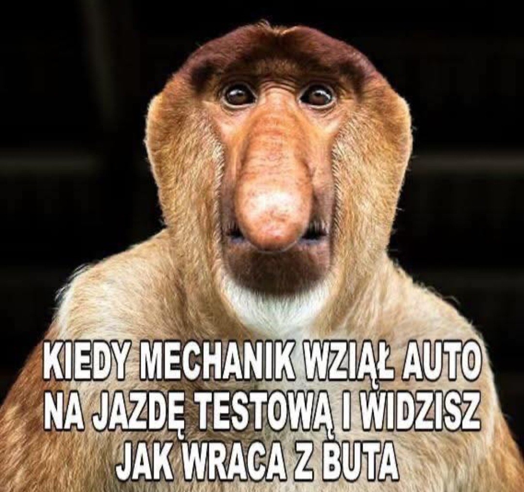 fbbe811a-6e95-4862-8539-4fc6c1bf72e7