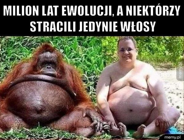 ebb8dfbb-f49f-44e0-a7a7-97474f6e7c91