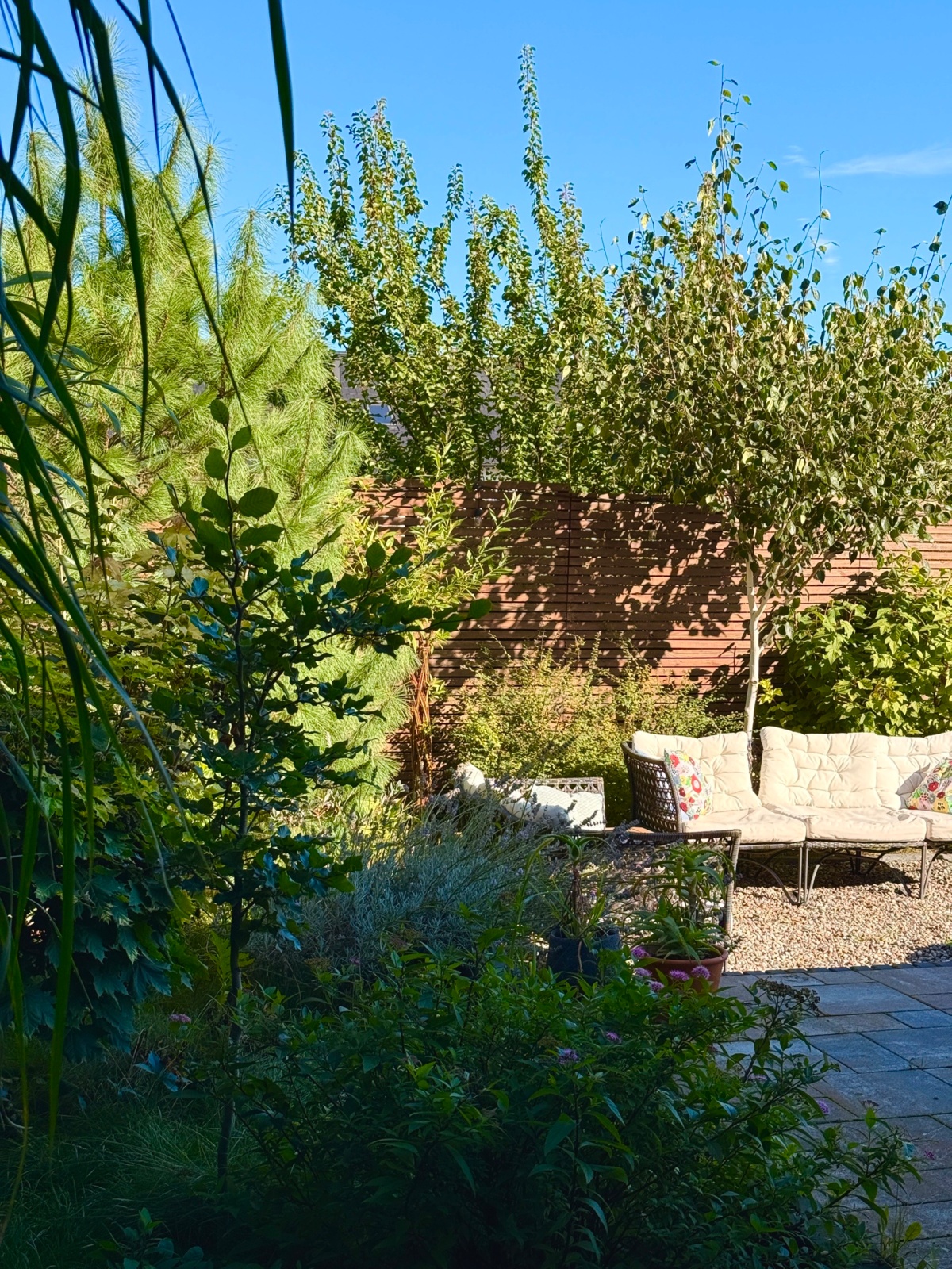 dc46a63e-9d38-4e97-97b9-b050c35c3709