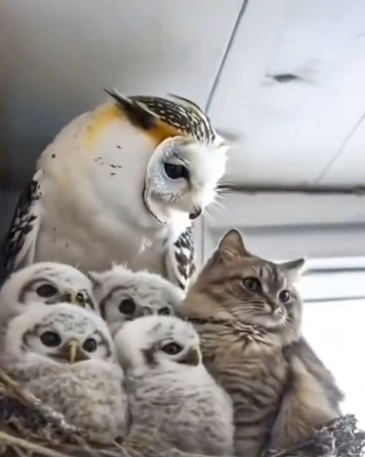 32886f0b-fdeb-4c37-9562-91a7f5f2b183