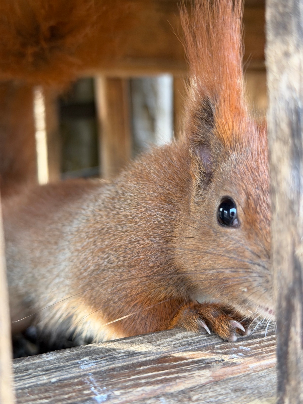 fde370c8-d92c-4969-b1f6-64143f323215