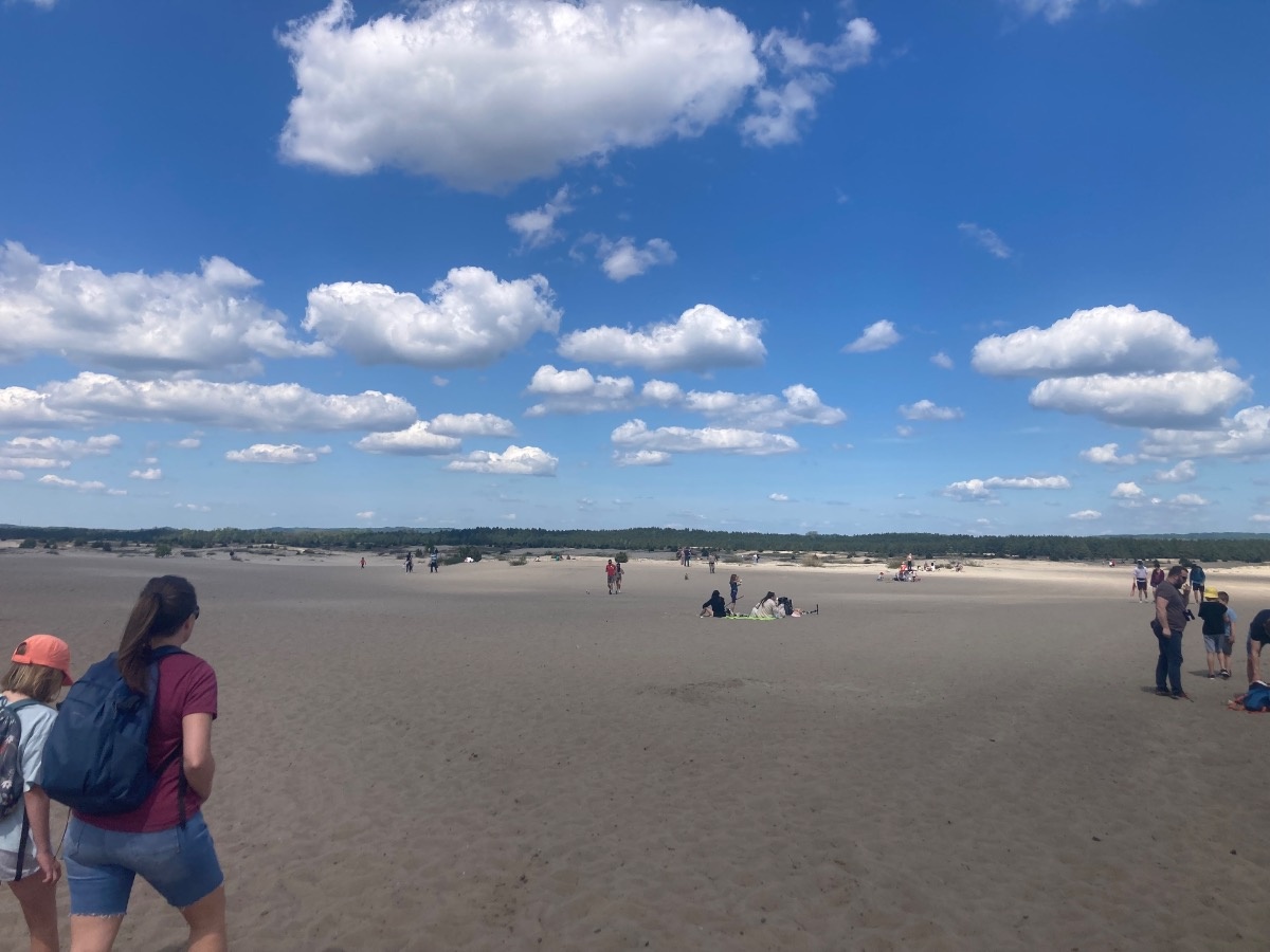 504cd4b2-d463-43f2-92ef-06506dd3b849