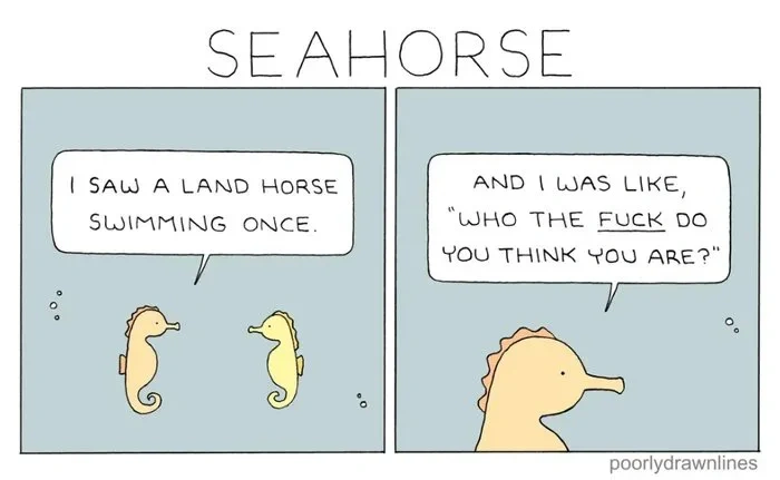 6e00d68d-9feb-4370-a2d5-85d08dd2cd85