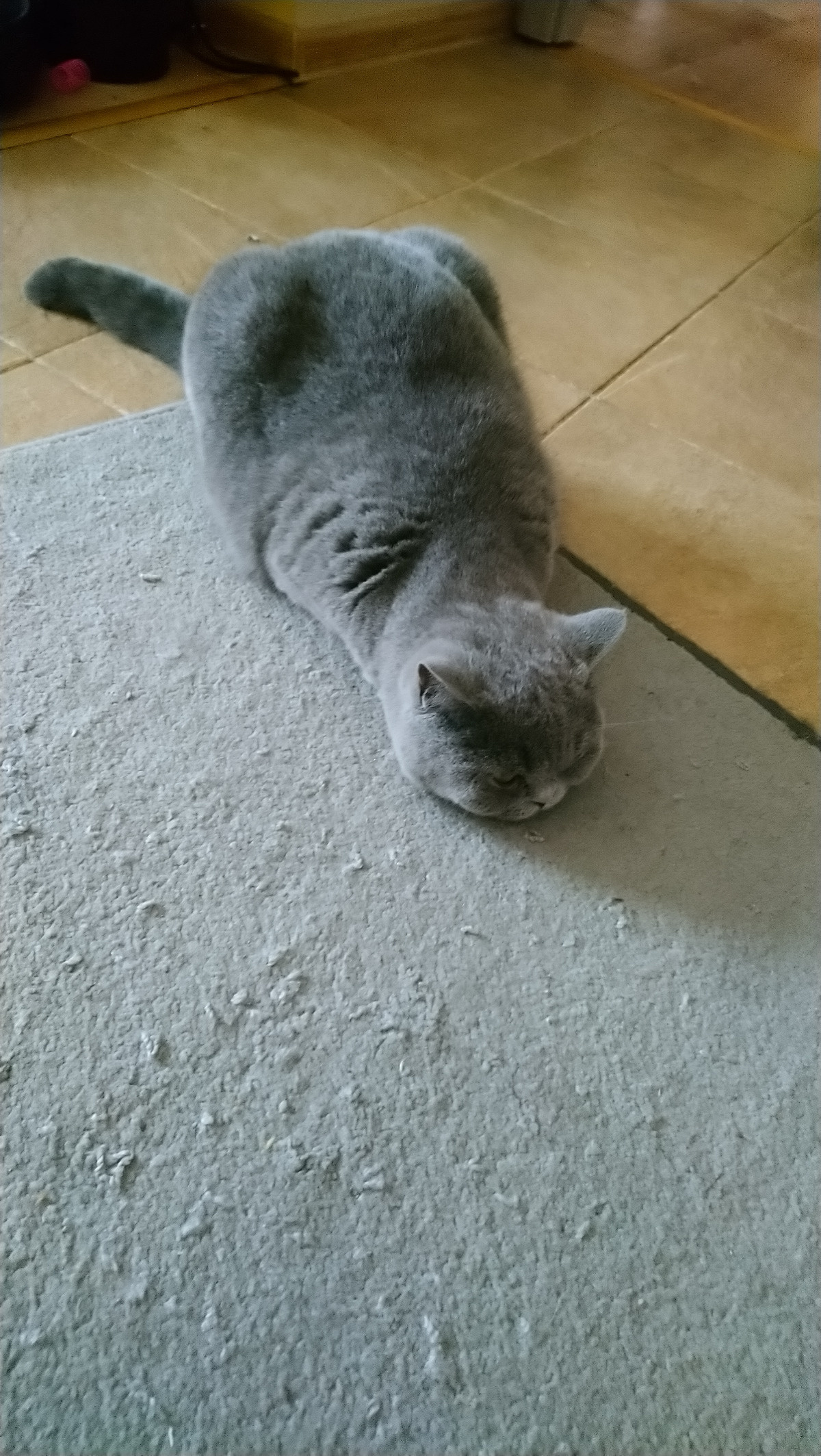 84dc0398-84fc-483c-9015-7292d0f01819