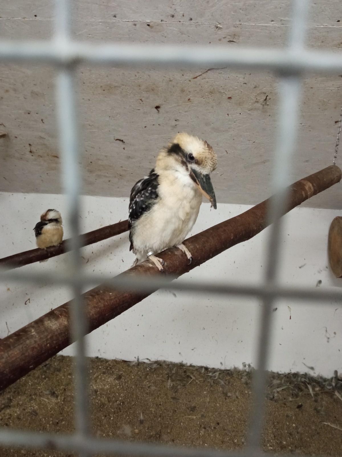 50ab8a8c-7f79-4e88-b76c-369441b249b1