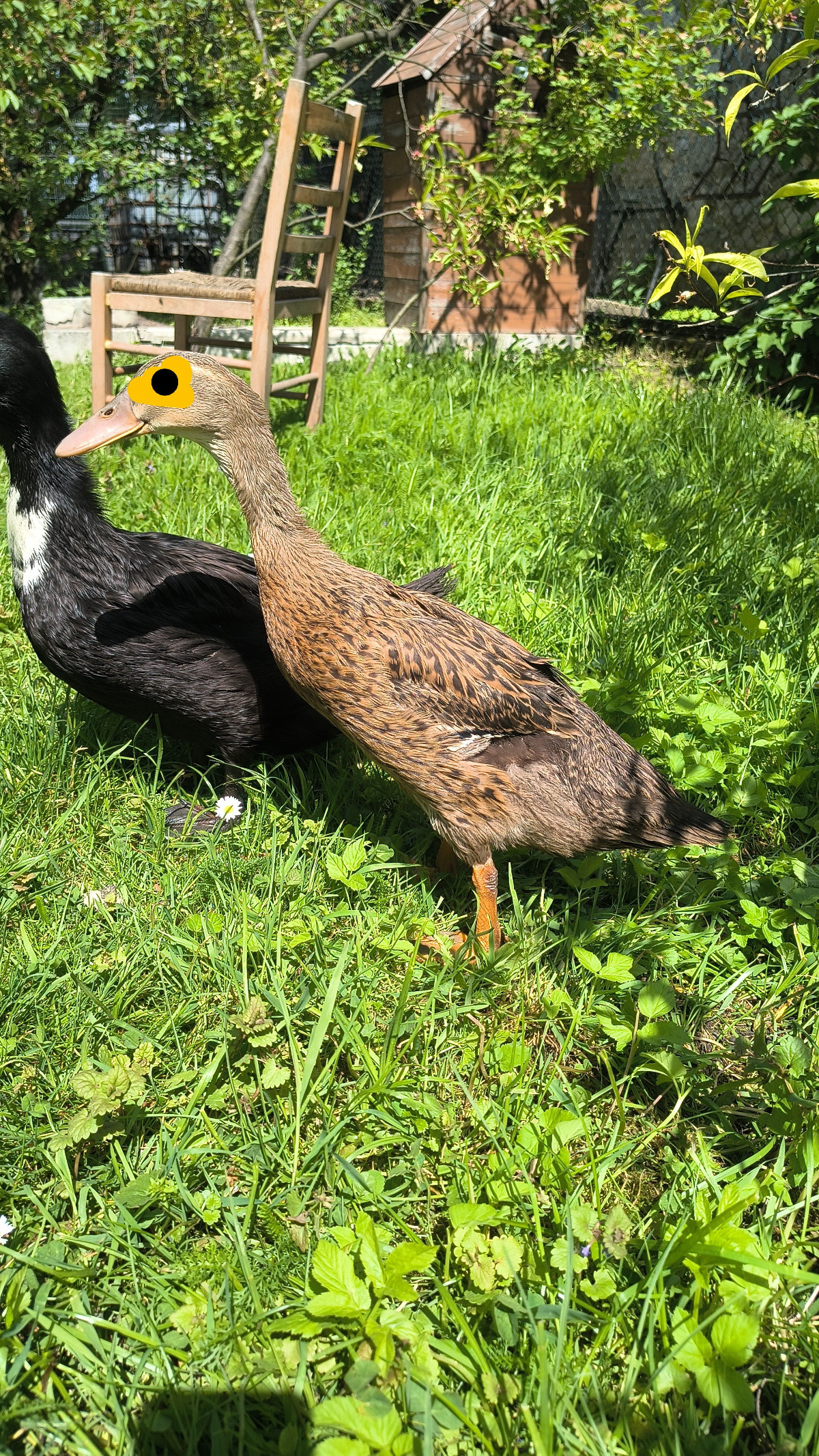 dfd2b3d1-1020-458b-9148-bee517ac5eb4