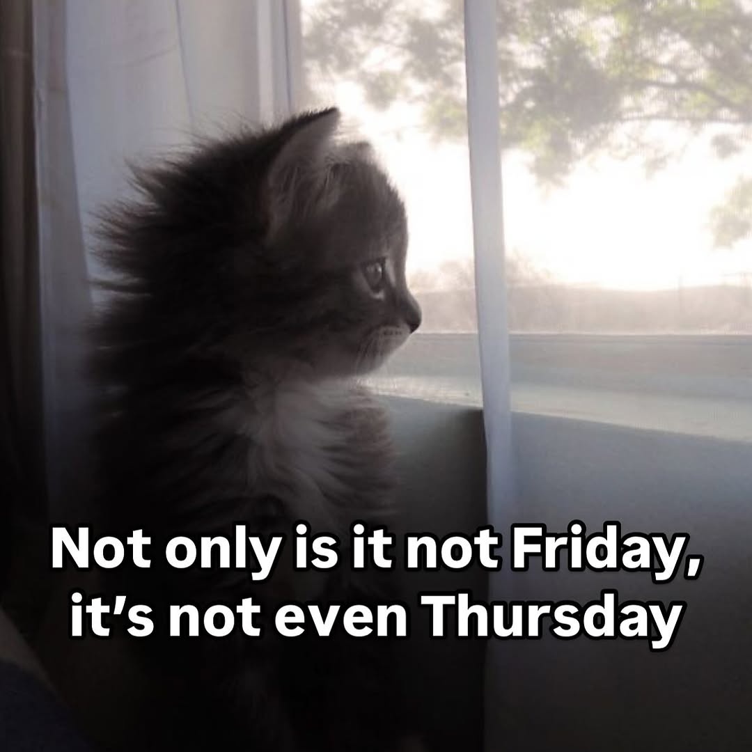 1c828ab6-a573-485a-93e4-6403c98426d9