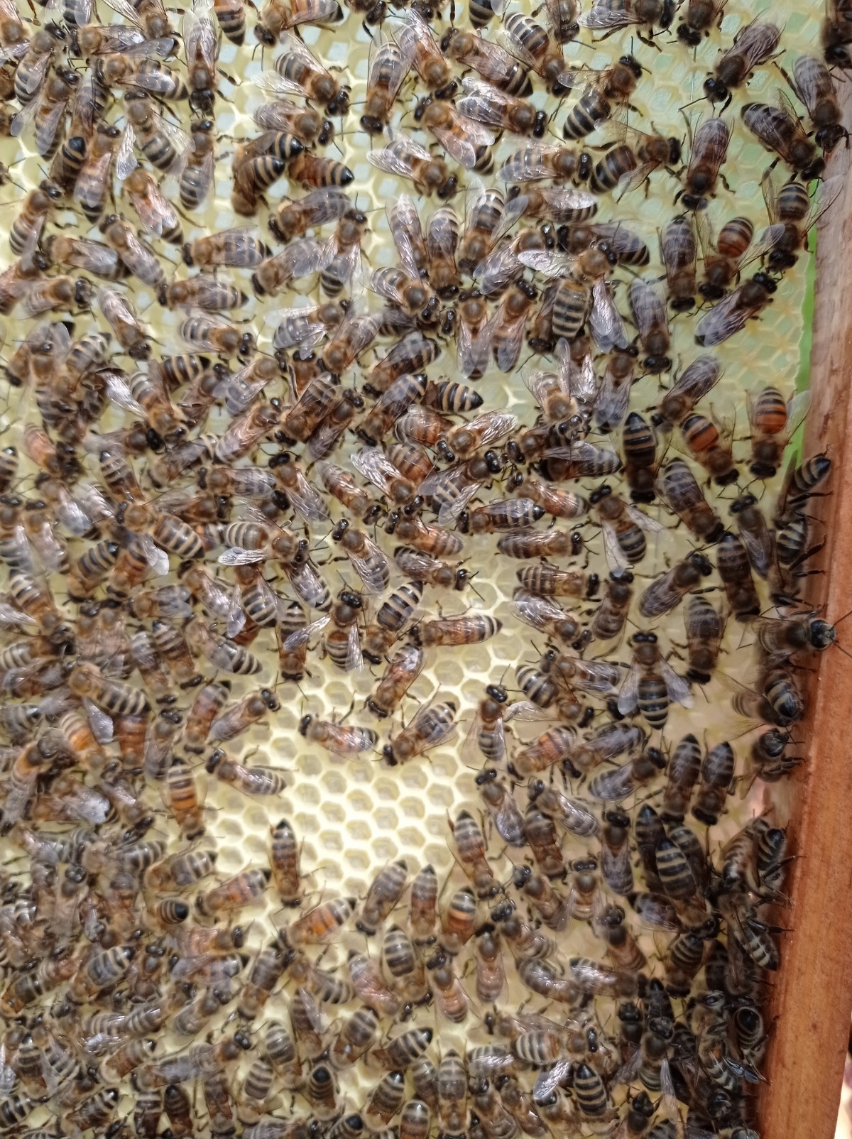 389d3f91-e939-4f0c-bc4f-f8ec19e075d7