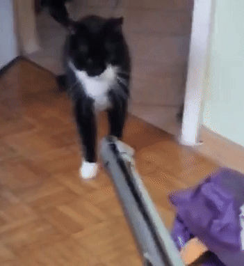 b3d061d2-6951-4e80-8997-556a776dddf0