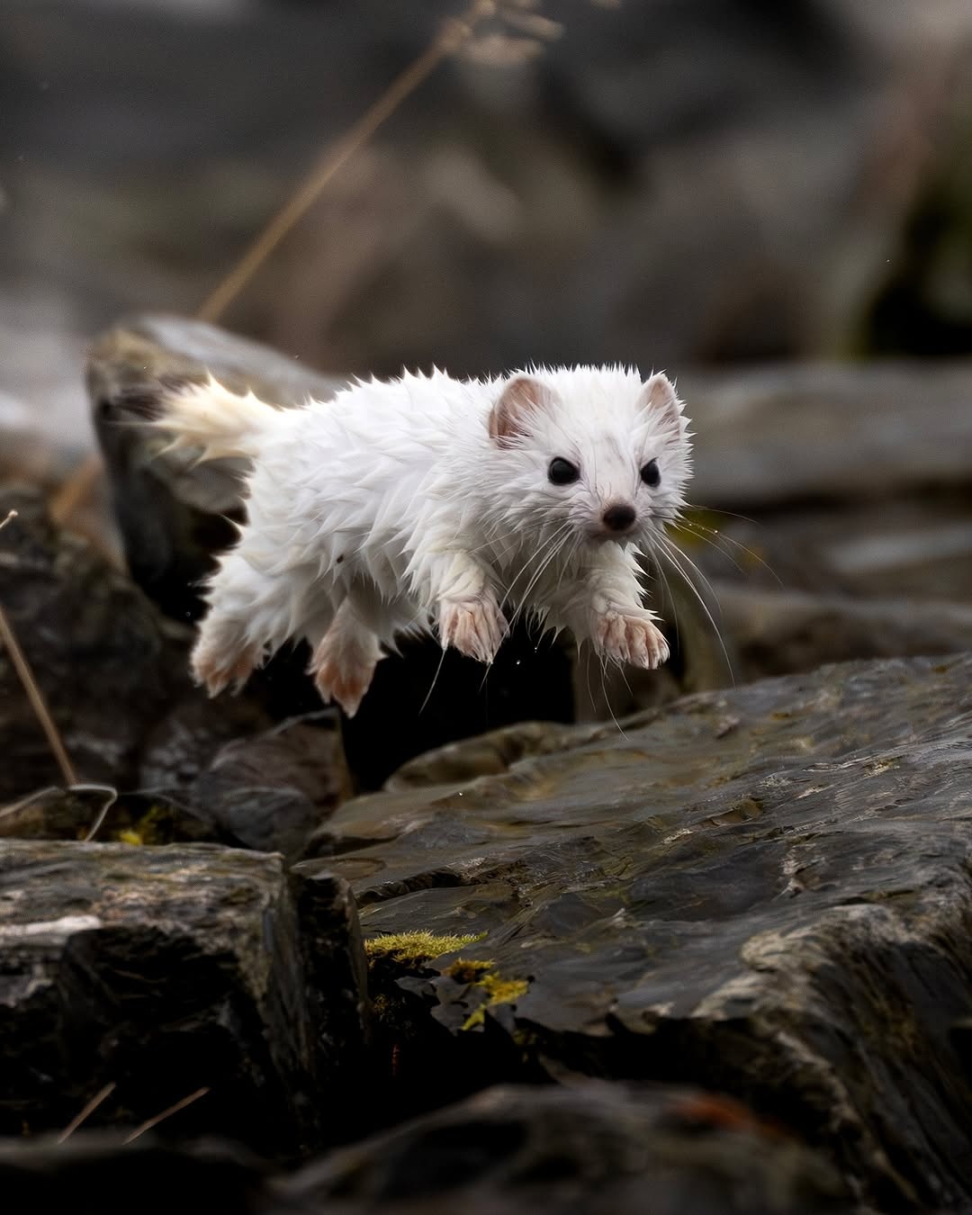 3d0ce4c3-ca65-4cf6-bf39-2b56ed928973