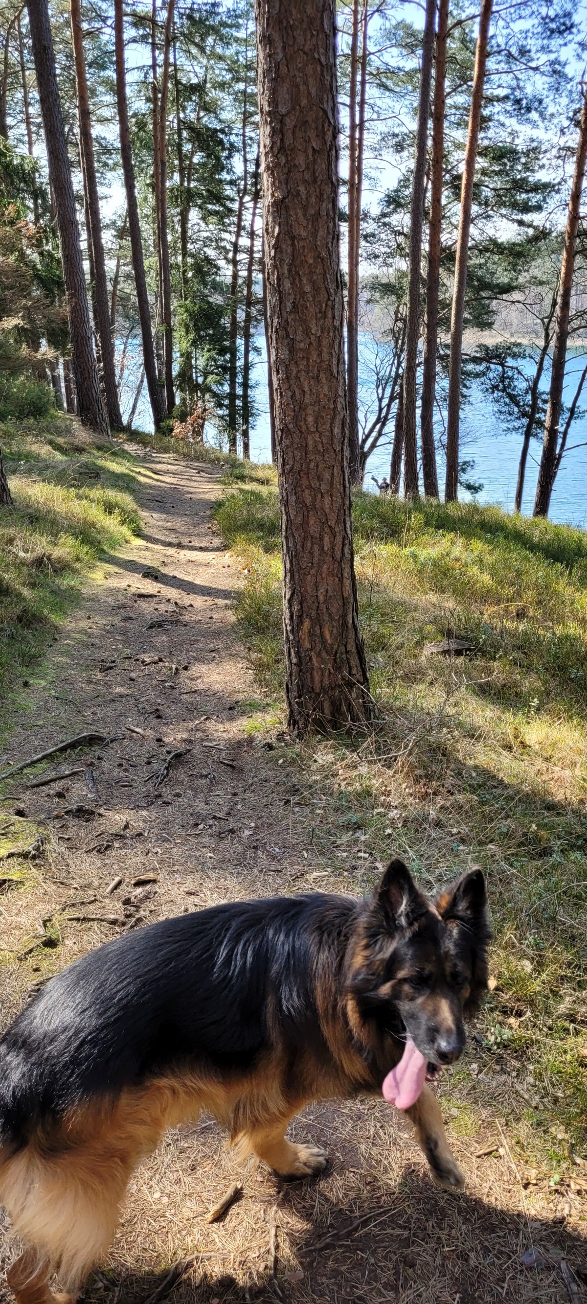 d5c0aaf5-2d3e-4b64-ab29-ddbf184f02d8