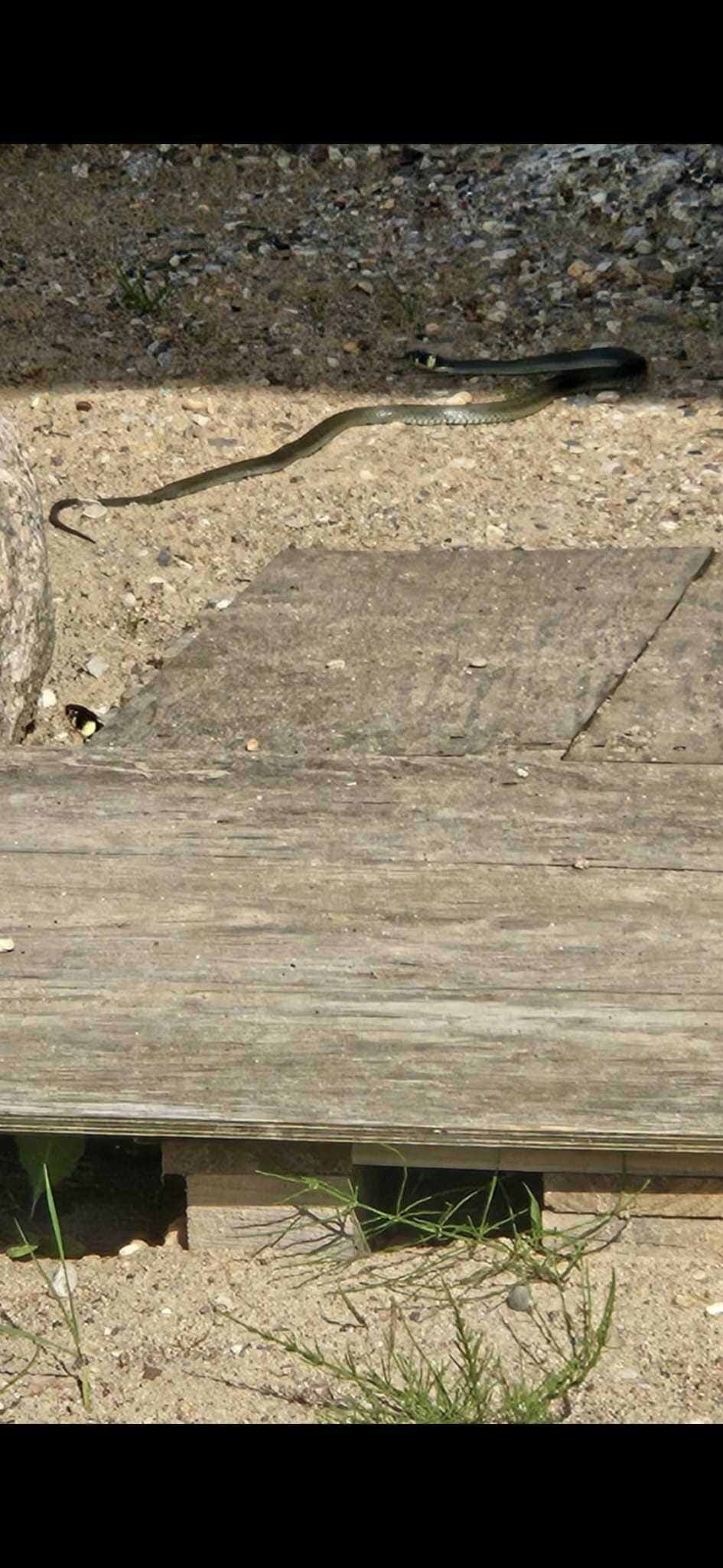 de5c3f82-1834-4451-af9d-2a79922dbe18