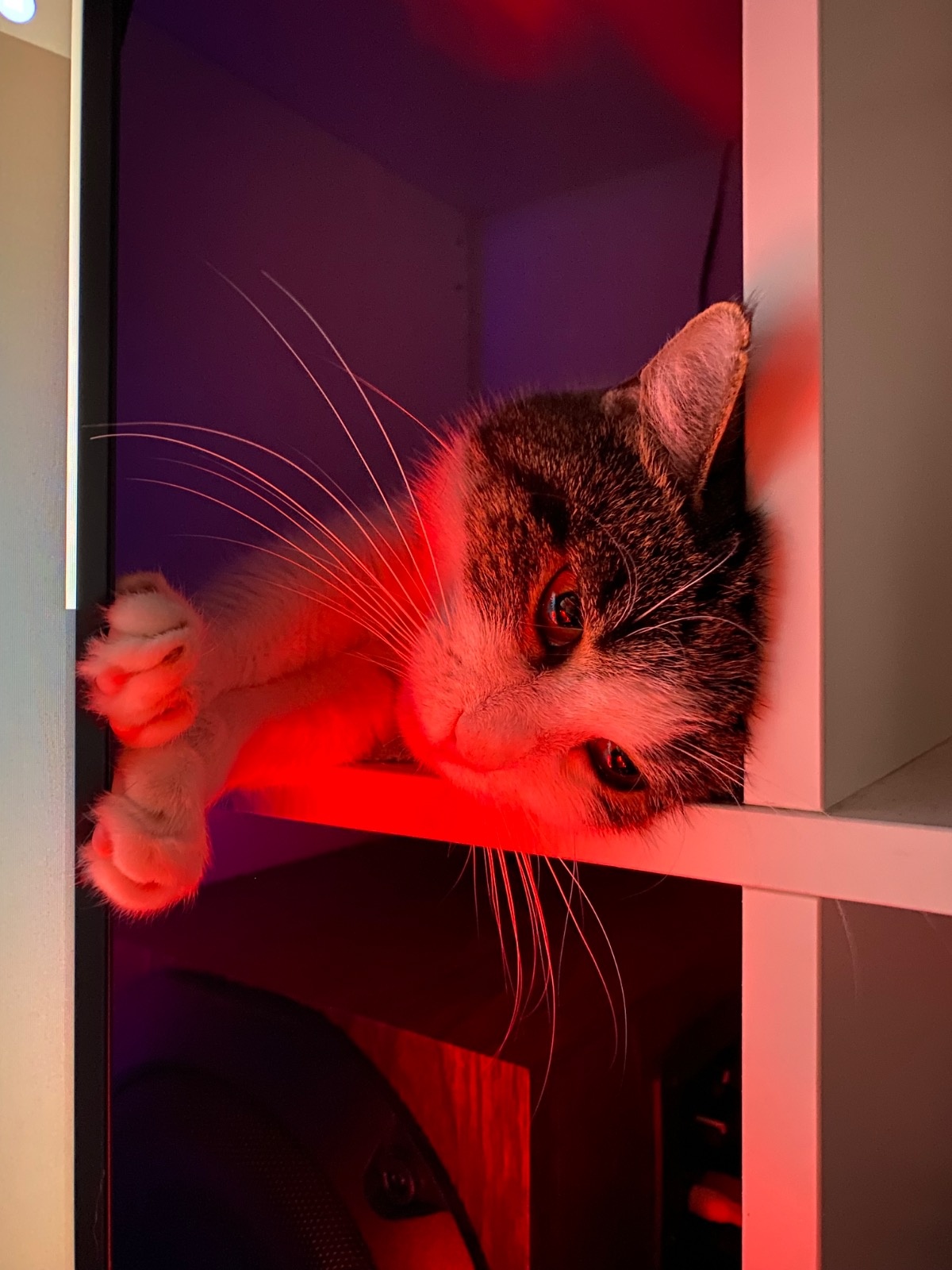 f84d198f-f038-4183-9e89-90fbf20de8ca