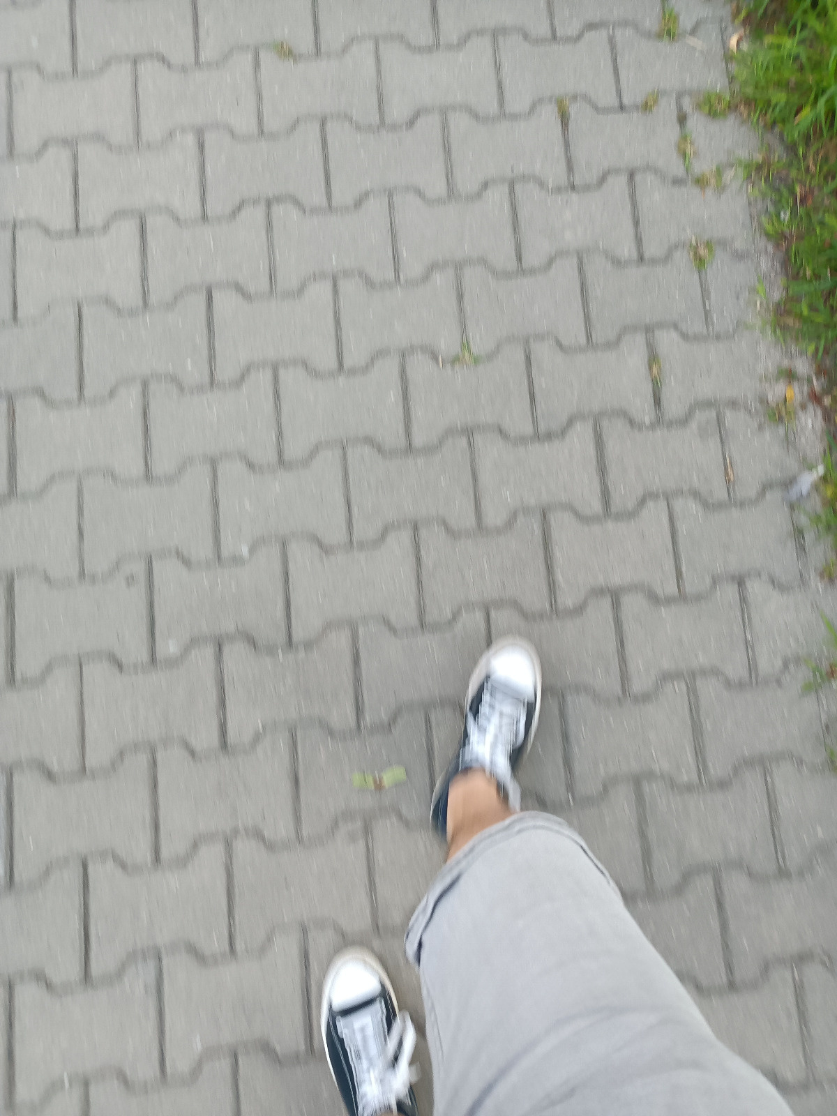 e7e4304a-9790-4bea-8ec9-d92acbb9b2b8