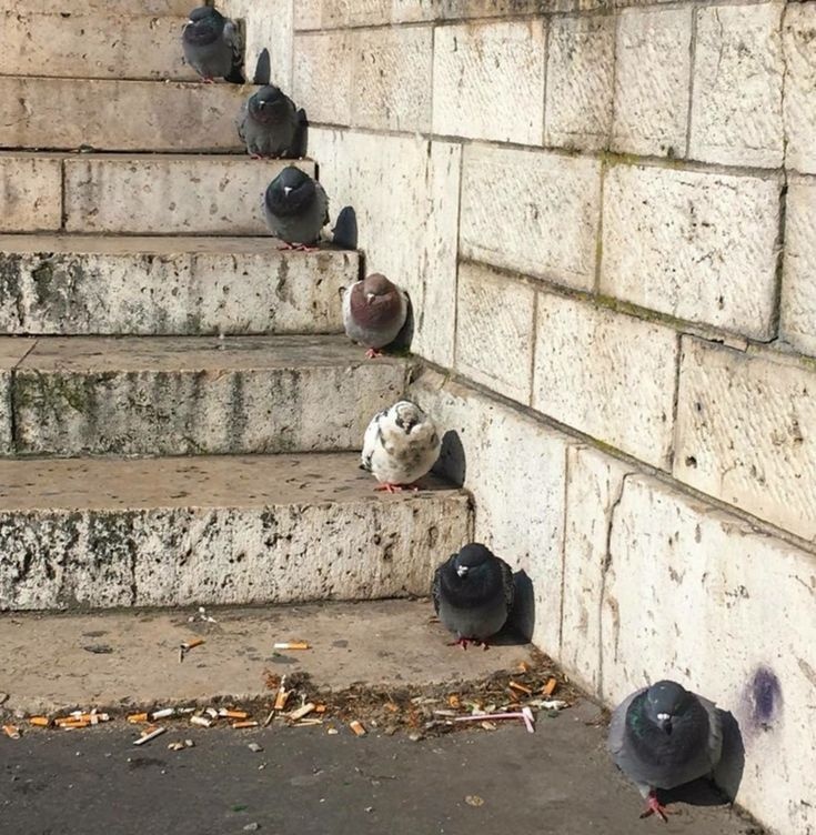 fd180ebb-b528-4d68-8b9e-26673770b52f