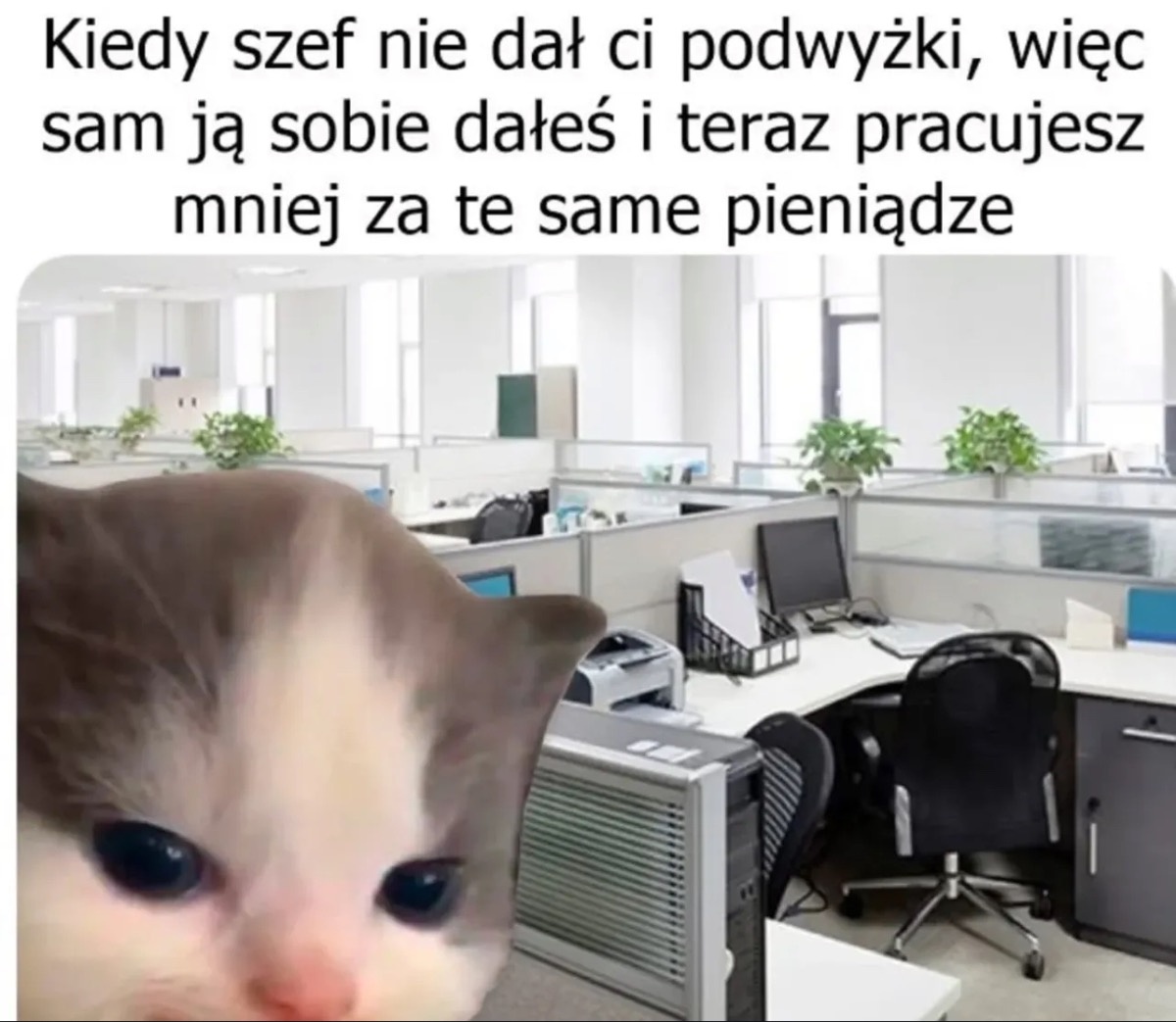 2f263522-7104-4916-b72f-12db352c8ada